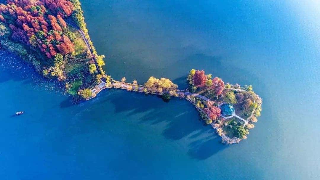 1605081378119925.jpg timg (1).jpg