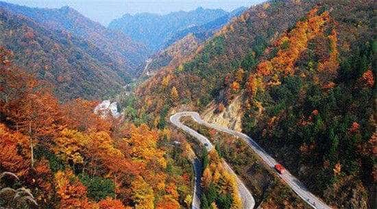 1605081530636576.jpg timg (3).jpg